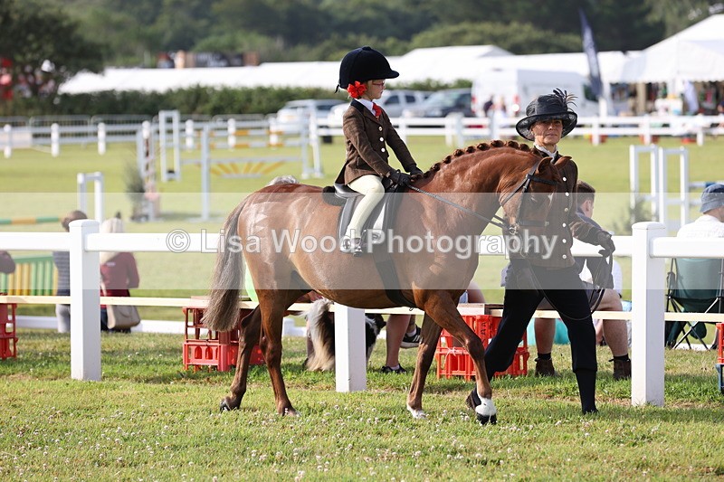 JPP_0166 - Class 14: Cornish Combination Leading Rein