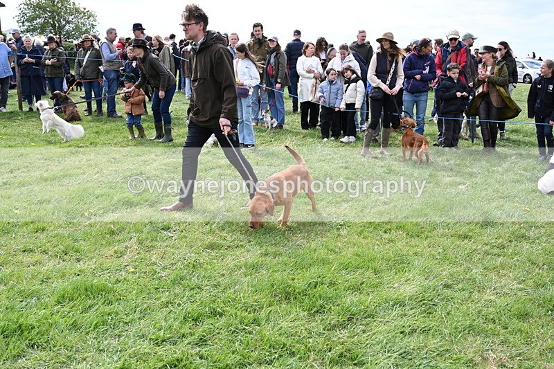 WJ6_8300 - Class 4 Prettiest Bitch