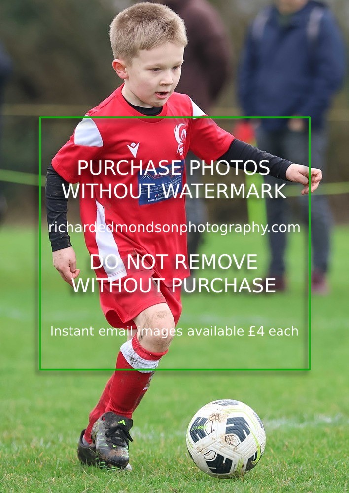 533A1146 - Ibis Under 7's (28/2/26)