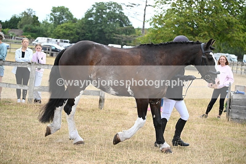 WJ6_8083 - Class 10 Coloured in Hand