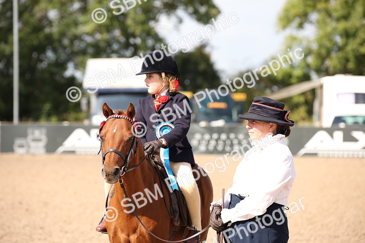 SBM_03083 - Class 17 Prettiest Mare IH or Ridden
