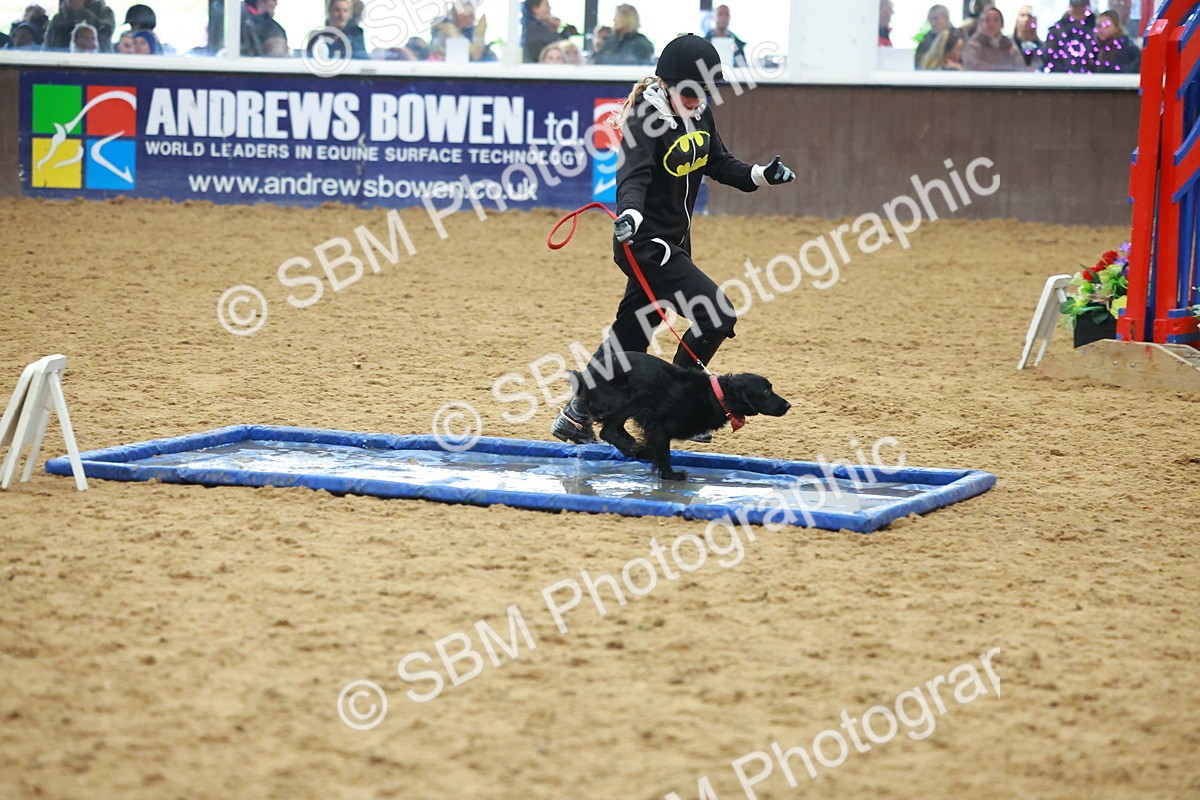 SBM_002486 - Class 3 - Horse & Hound (60cm)