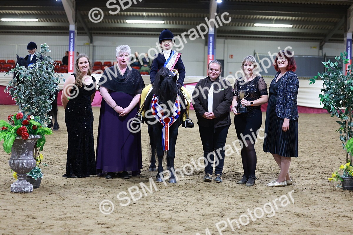 SBM_21387 - Class T - Working Veteran Champs