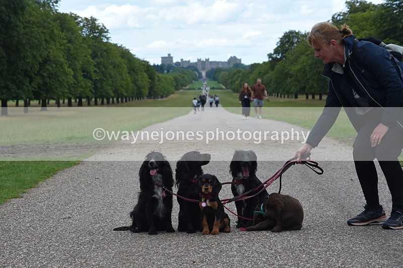 TT3_0476 - Time at Crossing 14:53 to 1526