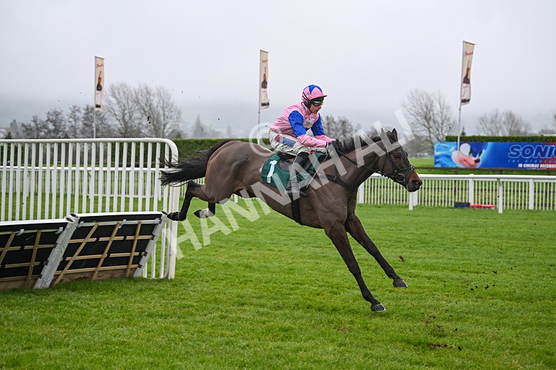 131224-Race 1-Country Mile-8562 - Race 1