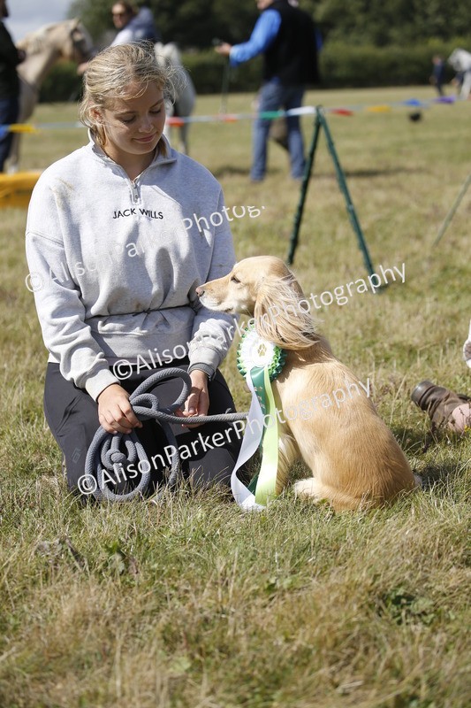 20250831-3710 - Dog Show