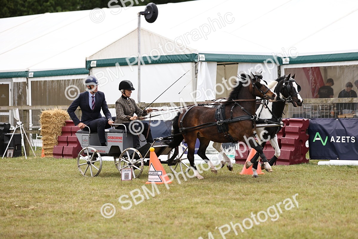 SBM_16011 - Class 91 - Scurry  exceeding 122cms