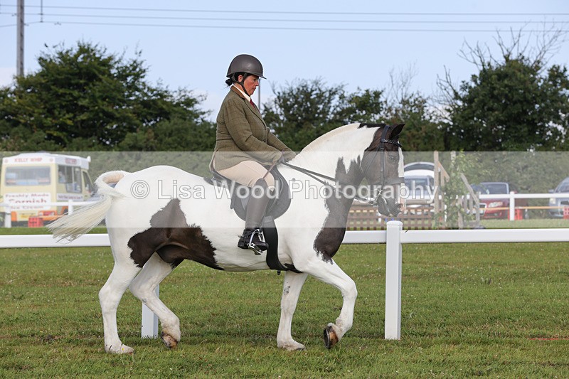 1X9A3190 - Class 28: Ridden Native/Trad Coloured Pony