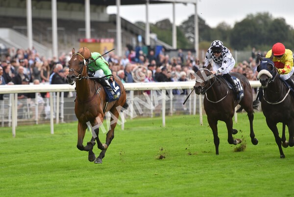 yr24092021r3-29 - Race 3 2.40pm WilliamHill.com Best Odds Guaranteed Stakes