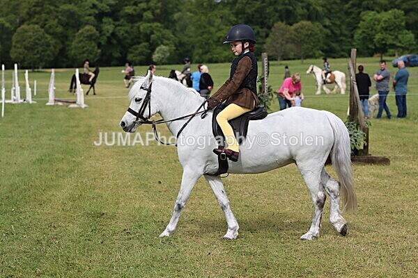 IMG_2221 - Working Hunter
