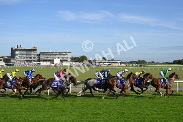 yr08102021r4-27 - Race 4 3.50pm Casumo Dare To be Different Handicap