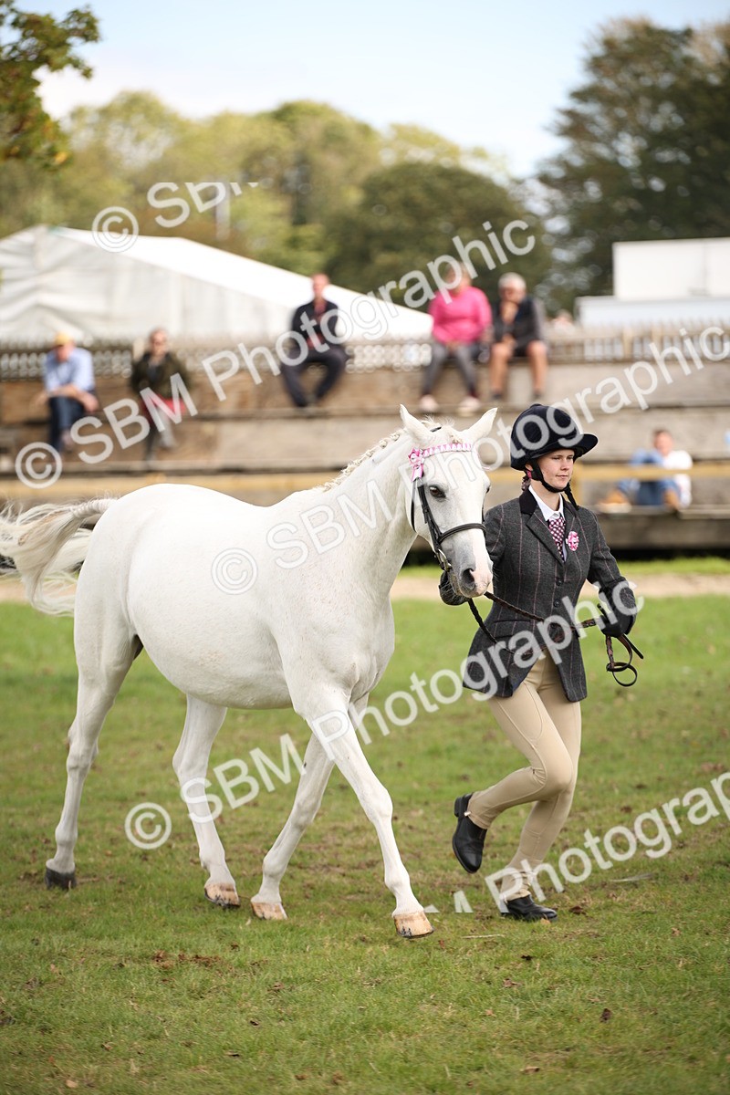 SBM_44504 - S24 - Young Veteran in hand