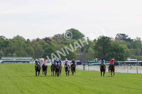 yr11052022r3-16 - Race 3 3.00pm 1895 Duke of York Clipper Logistics Stakes