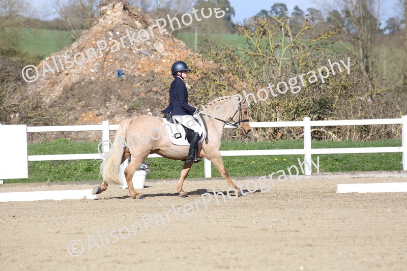 20260314-5171 - DR6 - Novice 2