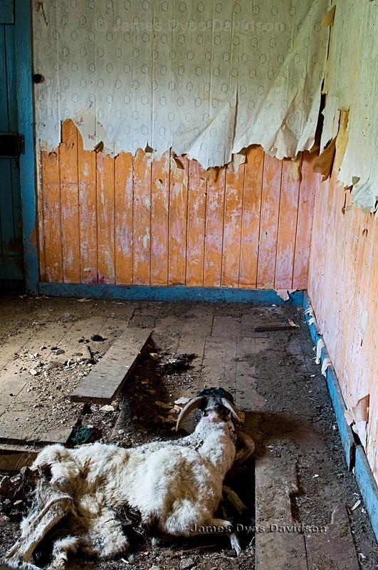 Evicted to make way for sheep. - Voices from the Glens