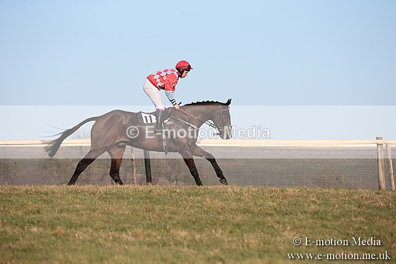 PtP 230219 601 - Vine & Craven Point-To-Point - Barbury 23/02/19