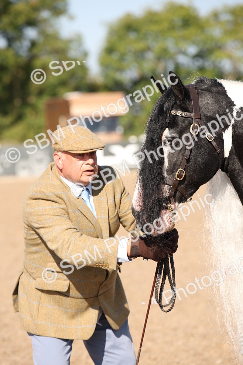 SBM_01532 - Class 15 IH Coloured