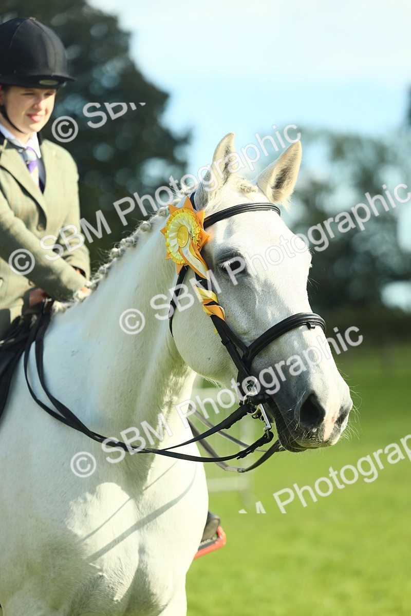 SBM_49931 - S32 - Novice & Newcomers Working Hunter