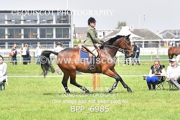 BPP_6985 - CLASS 3 RHS Fox Champ Qual (1.20m)