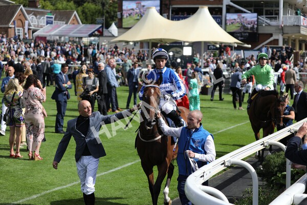 yr19082022r4-28 - Race 4 3.35pm Coolmore Wootton Bassett Nunthorpe Stakes (British Champion Series Race)
