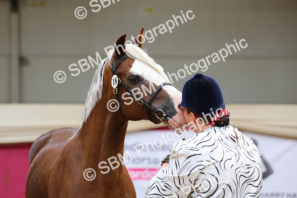 SBM_22897 - Class 903 - Supreme Final - IH Pre Vet