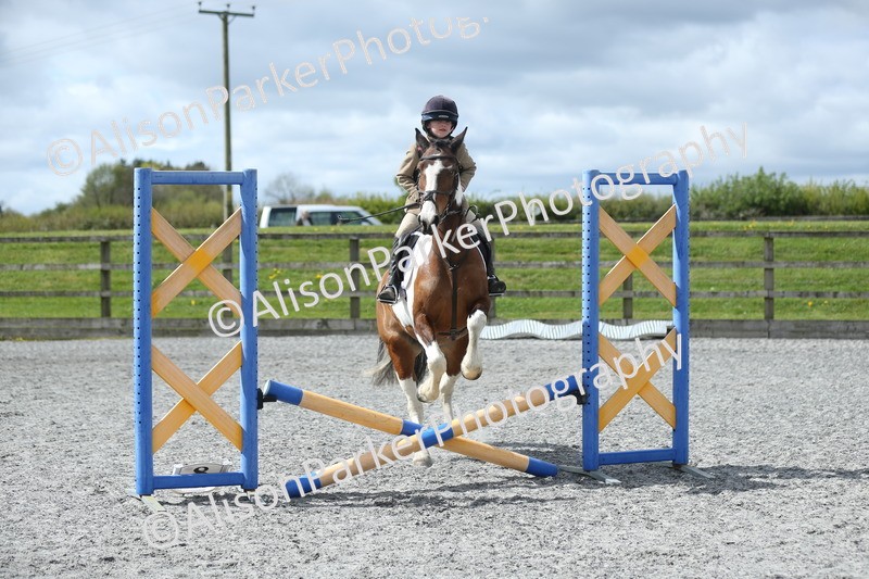 20260412-0730 - Show Jumping
