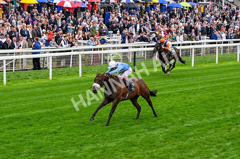 200826-Race 7-Machadadorp-0821 - Race 7 17.20pm British EBF Fillies' Handicap