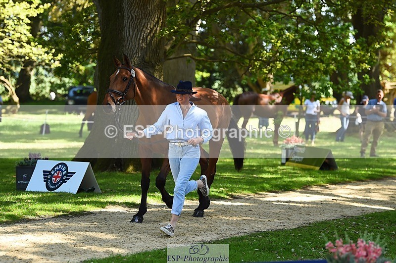 230524-152532-00255 - 327-ROMANTIC-Rosie_Fry-WEDTrotUp+DR