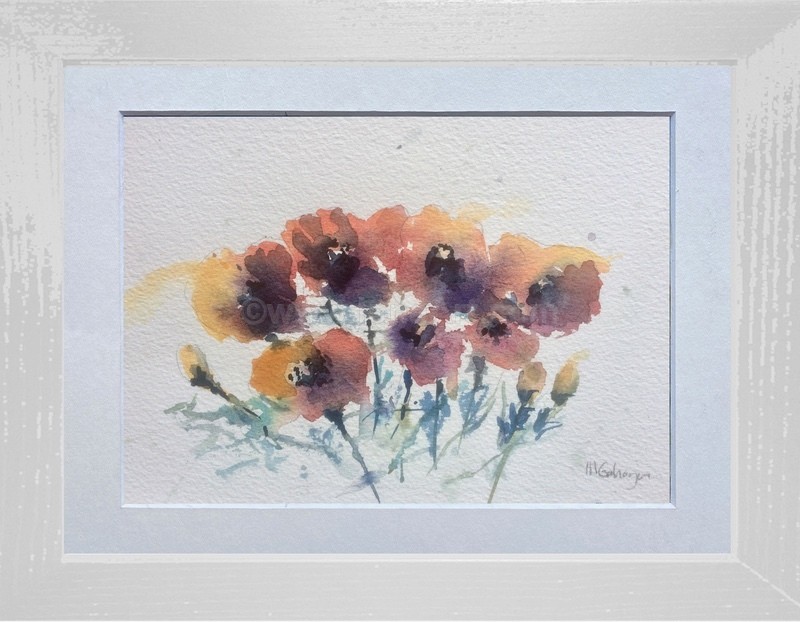 Poppy 2 - Widlife/Nature