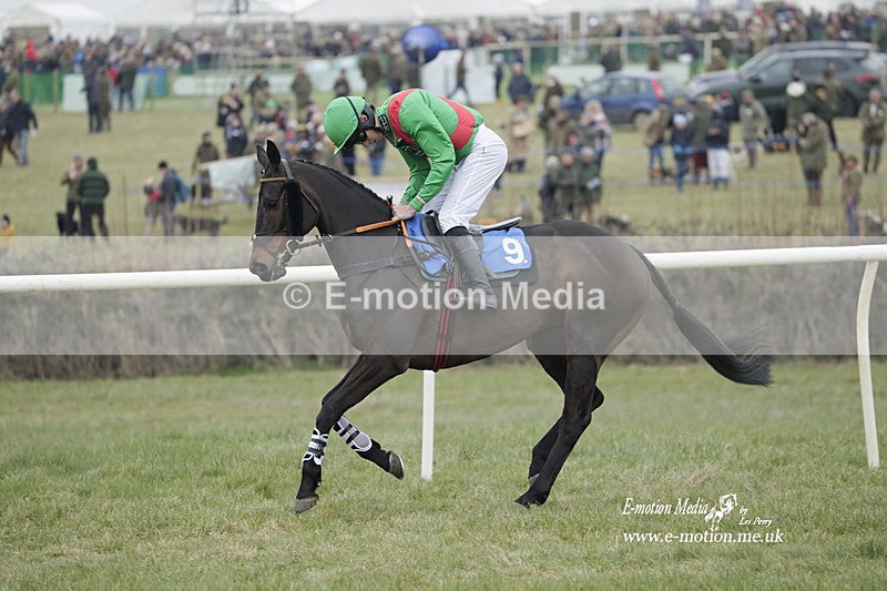 PtP 040323 297 - Duke of Beauforts Hunt Point-to-Point Didmarton 04/03/23