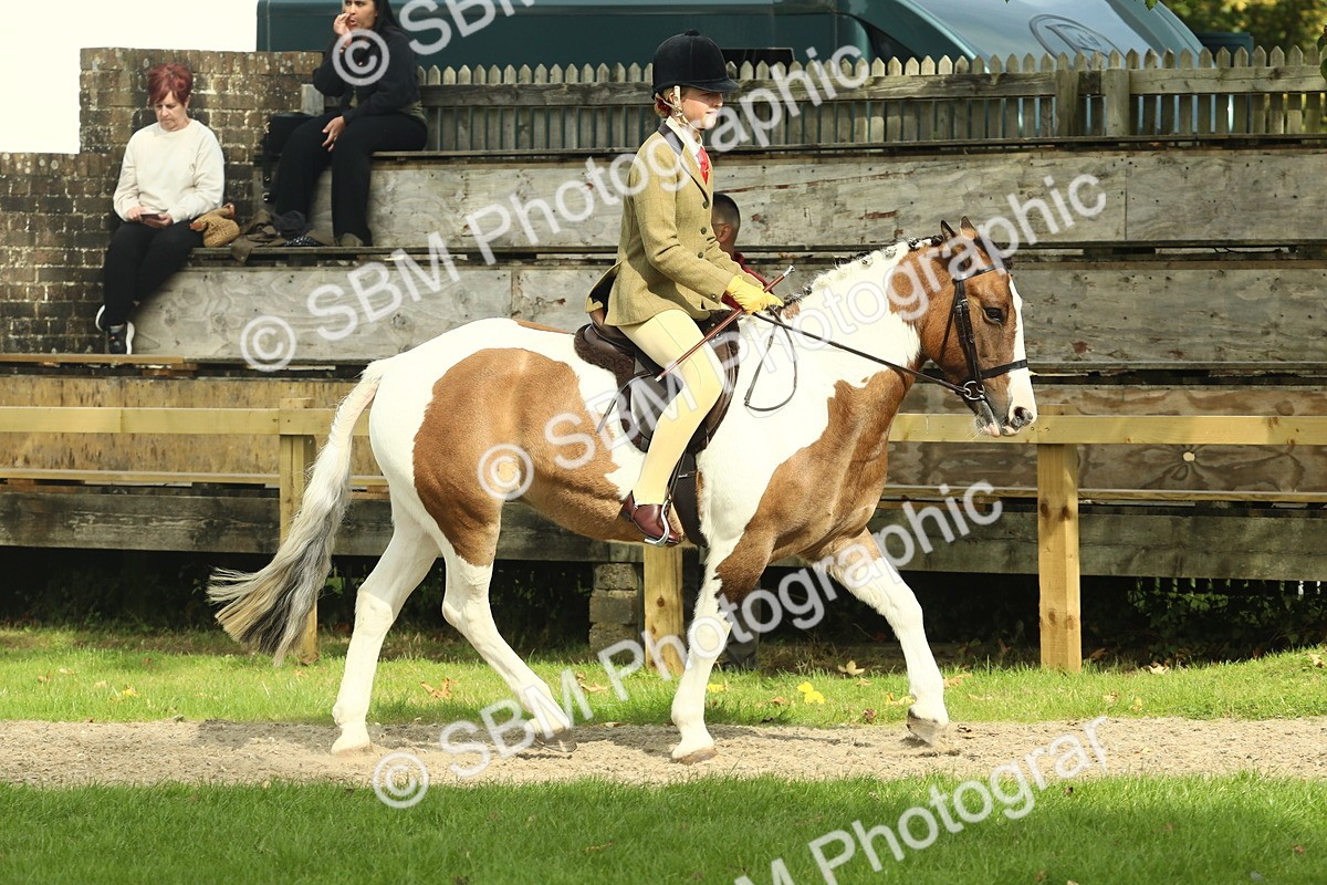 SBM_69025 - S58 - Mini Show Cob Ridden