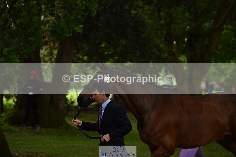 240522-151226-00167 - 308-COOLEY_ANYTHING_YOU_LIKE-Harry_Meade