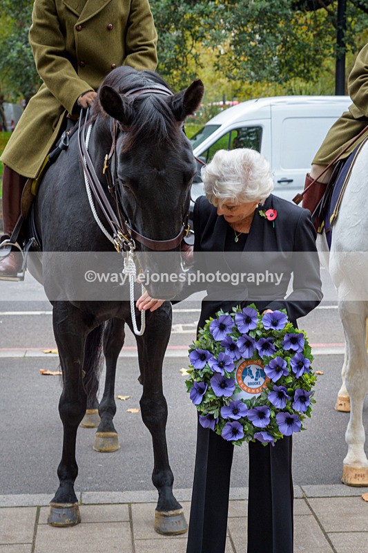 NGP_8133 - 2024 Animals in War Remembrance Gathering