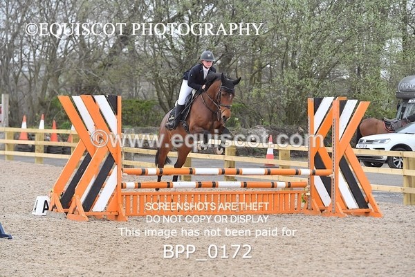 BPP_0172 - CLASS 1 FRI Club/ Unaffiliated 80cms Open