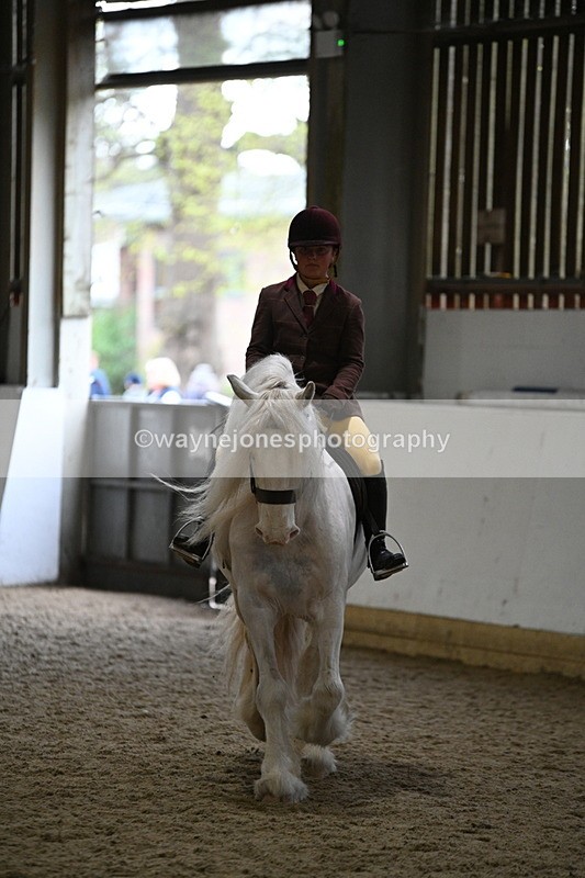 WJ7_4172 - Class 17 Ridden Cob