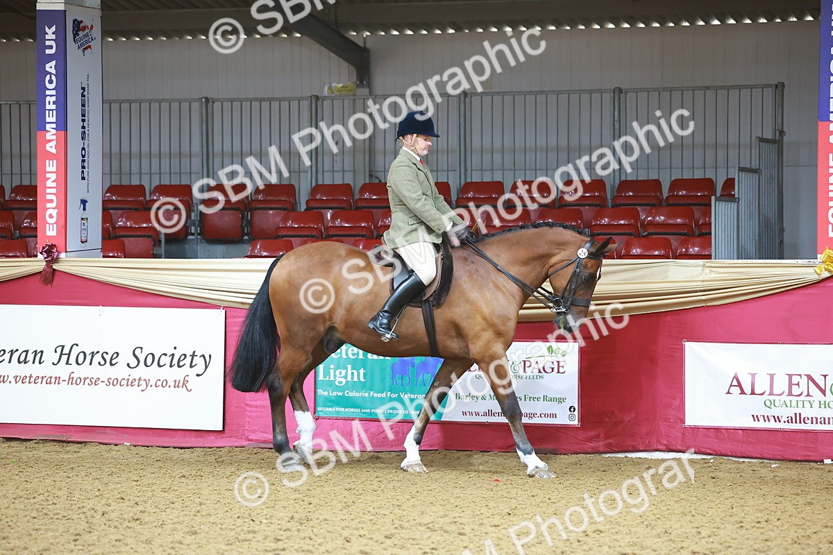SBM_07560 - Class 101 - HOYS Veteran Qualifier - Ridden Diamond
