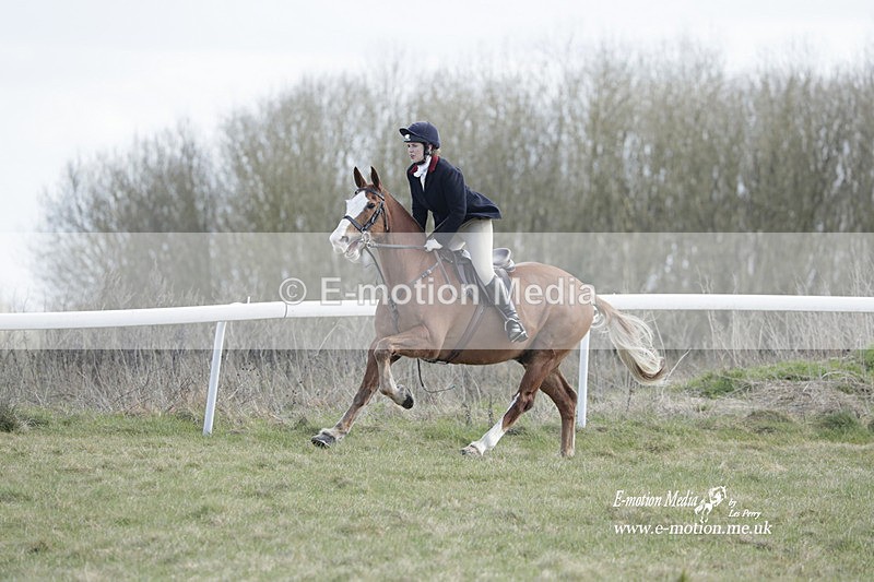 PtP 260223 598 - South & West Wilts Point-to-Point Larkhill 26/02/23