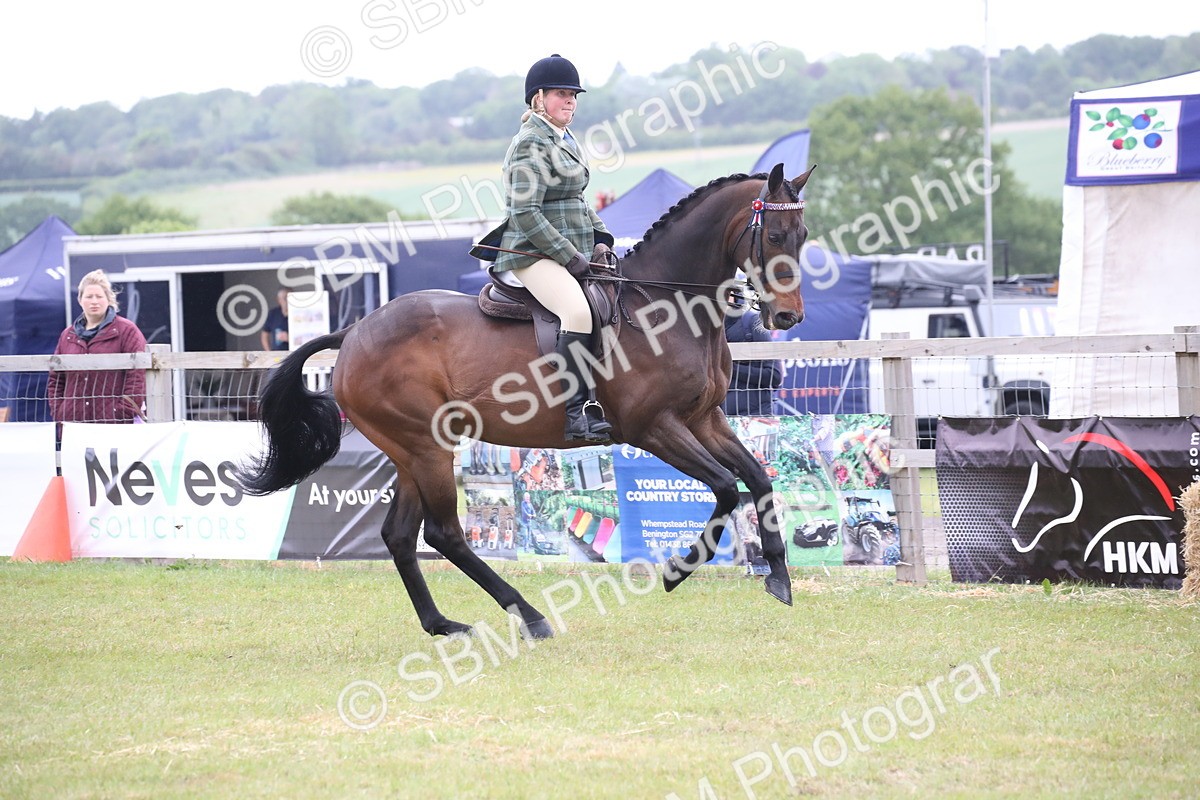 SBM_11420 - Class 94 - LIHS BSHA Racehorse to Showhorse