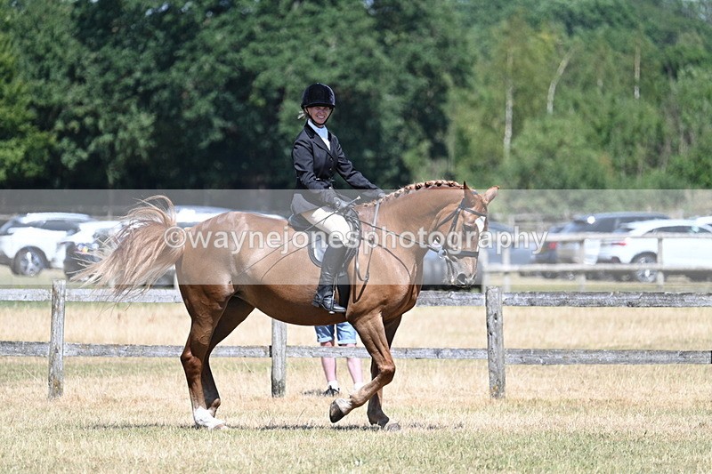 WJ7_2996 - Class 7 Riding Club Show Horse
