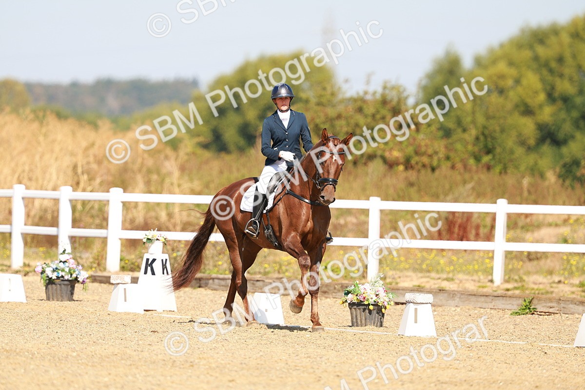 SBM_017516 - Class 9 - N5 Bronze 10.33.11.36