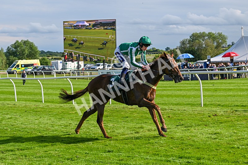 180624-Race 6-Infinite Honour-0773 - Race 6