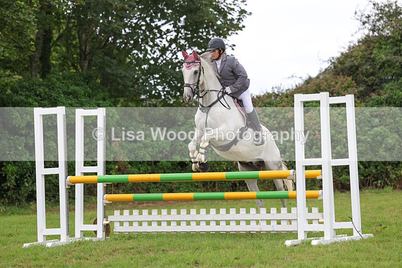 3E7A7228 - Class 5: Senior British Novice/90cm open