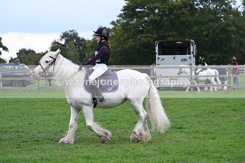 WJ7_4357 - 60cm Time 10:52 to 11:02