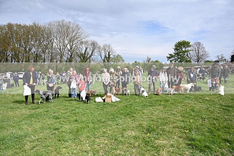 WJ6_8399 - Class 4 Prettiest Bitch