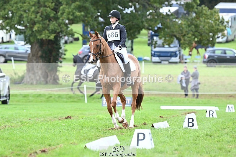 231020-153036-11498 - 686-MOORLAND.MAGIC-Charlotte.Chard-DR