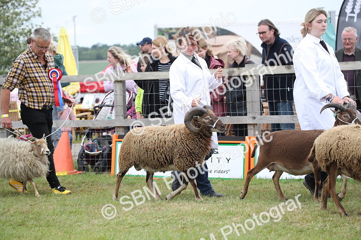 SBM_07792 - Grand Parade