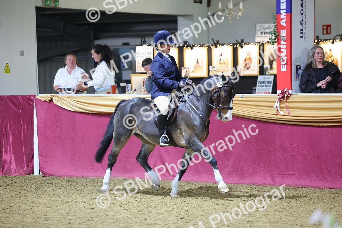 0B8A4607 - Class Q Style & Performance Champ