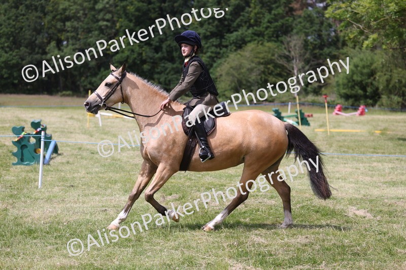 20260614-1787 - Class 21 - Novice Working Hunter Pony