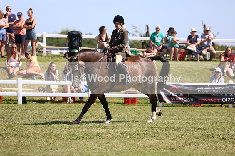 3E7A7535 - Rising Star Ridden Championship