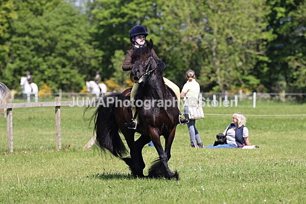IMG_4283 - Working Hunter